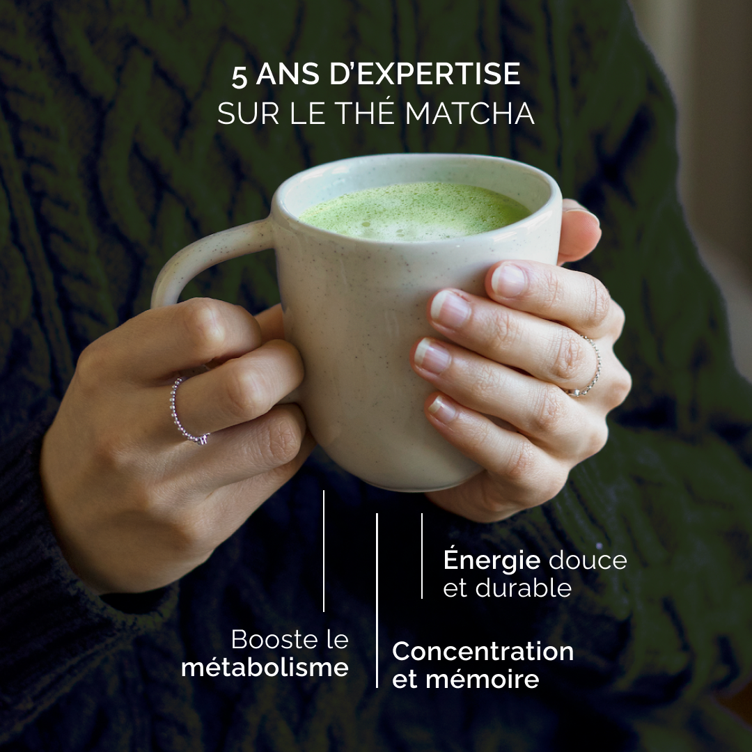 Matcha tè classico anatae 30g